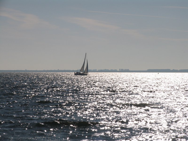 2012-05-26 08-52-17 Ludo.JPG
